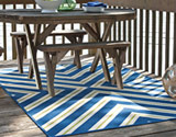 Indoor/Outdoor Rugs