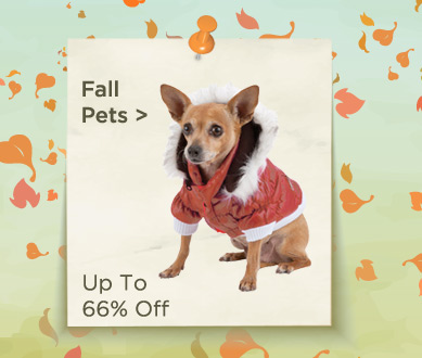 Pet Clothes for the Fall